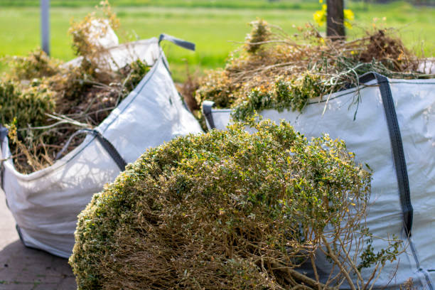 Best Affordable Junk Removal Services  in Saddlebrooke, AZ